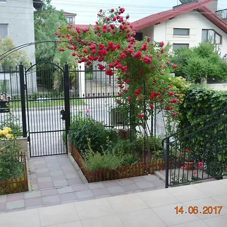 Summer Rain Mamaia Nord Нэводари